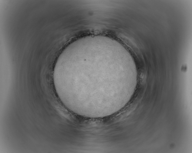 X0000100950865200807081216