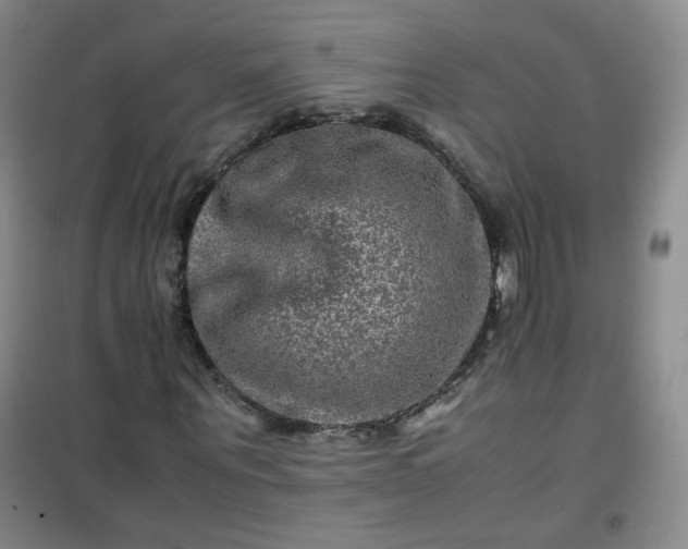 X0000100950867200807081216