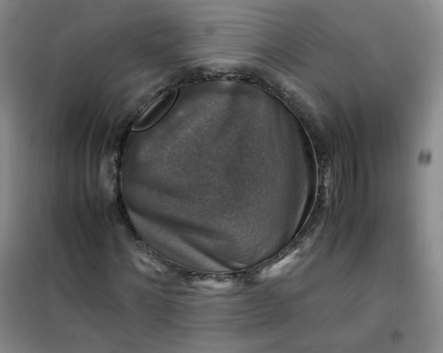 X0000100950868200807081216