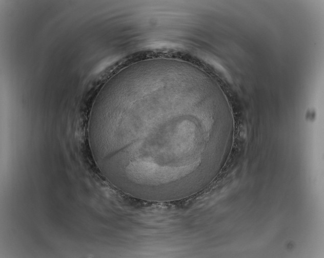 X0000100950869200807081216