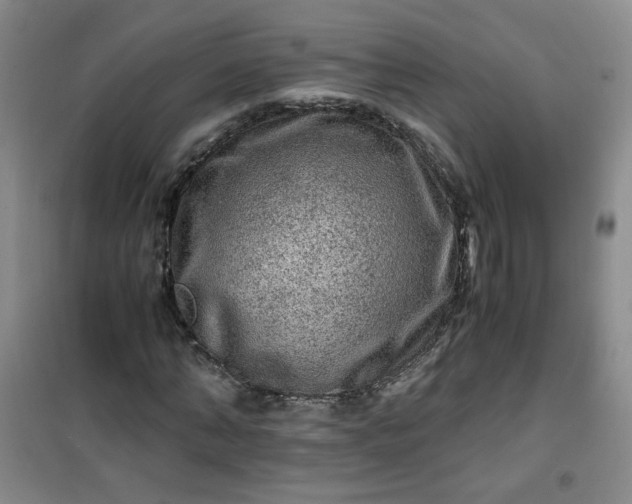 X0000100950870200807081216