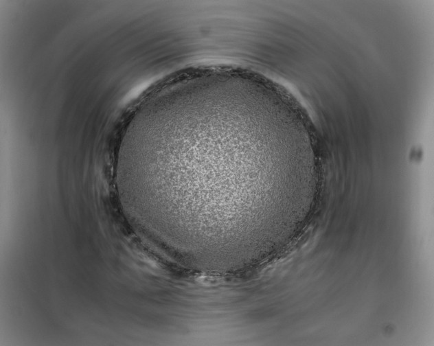 X0000100950871200807081216