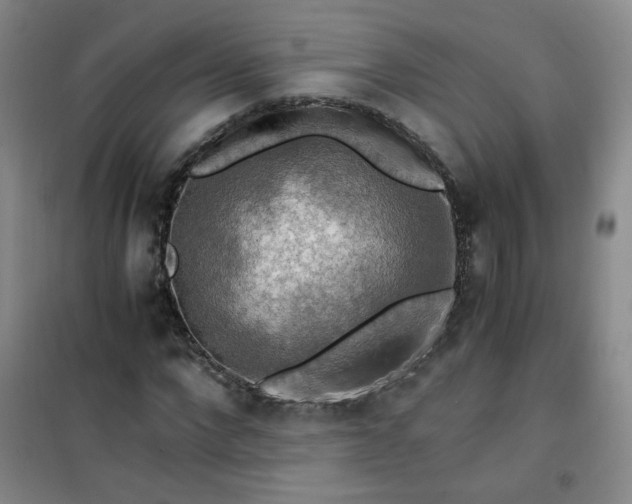 X0000100950872200807081216