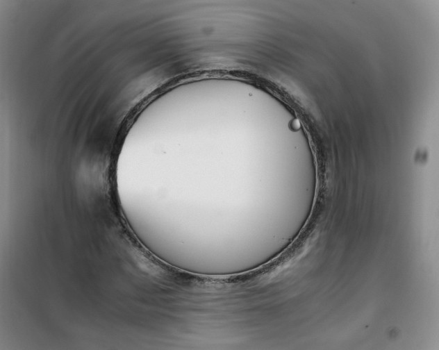 X0000100950873200807081216