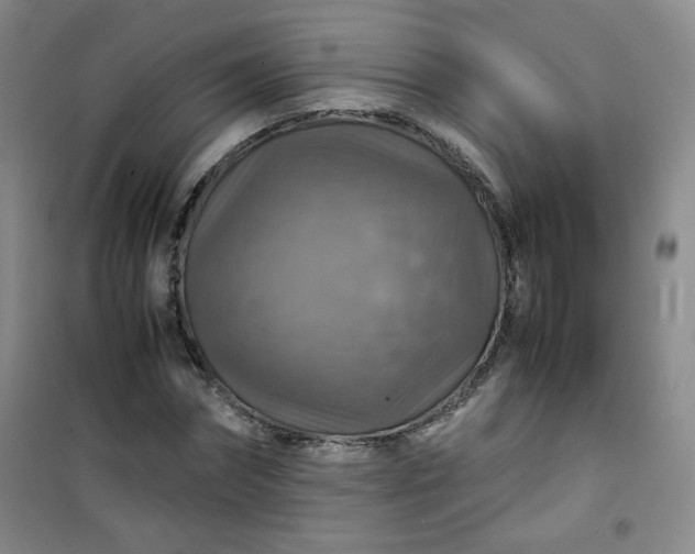 X0000100950874200807081216