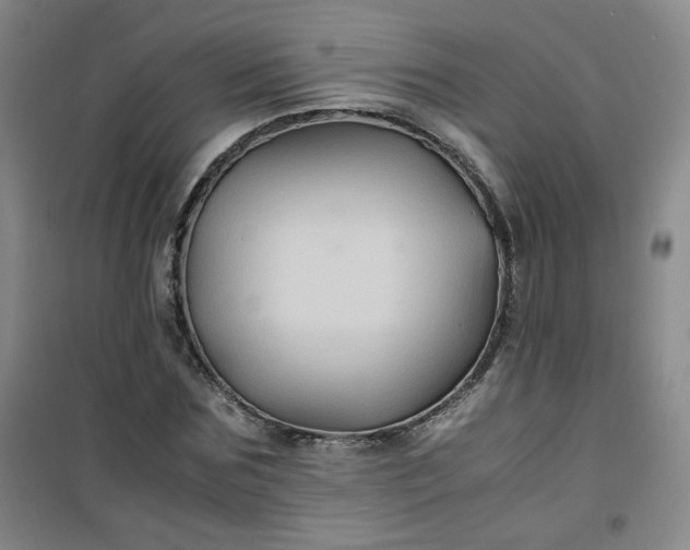 X0000100950875200807081216