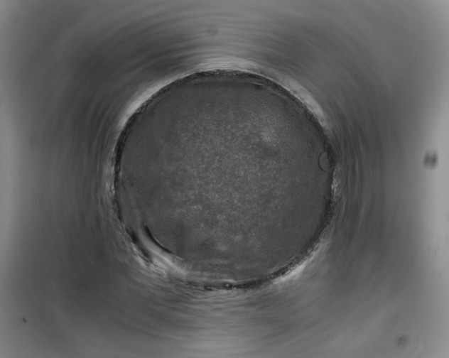 X0000100950877200807081216