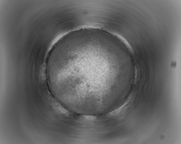 X0000100950878200807081216