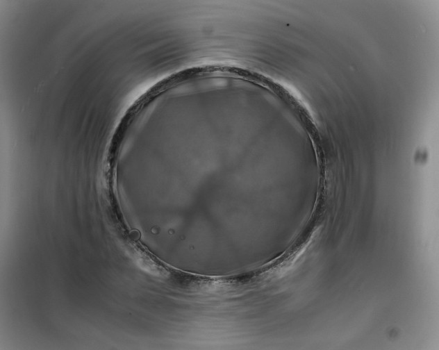 X0000100950879200807081216