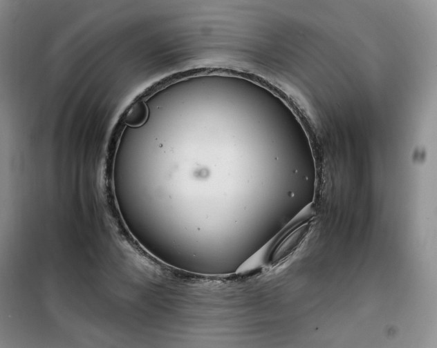 X0000100950880200807081216