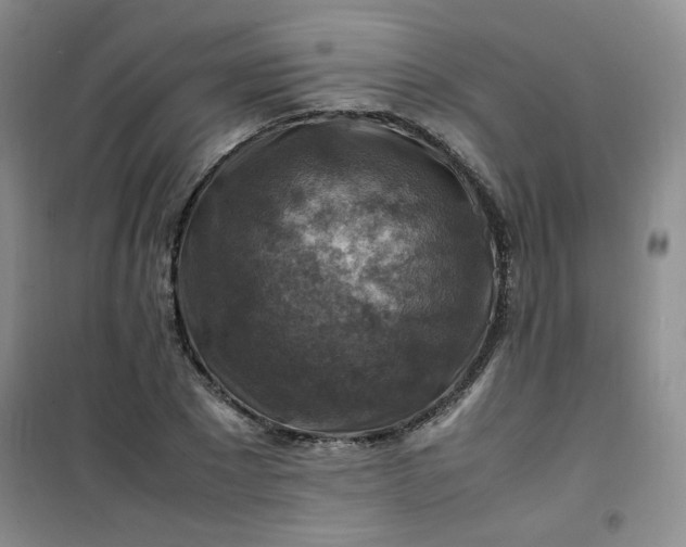 X0000100950881200807081216