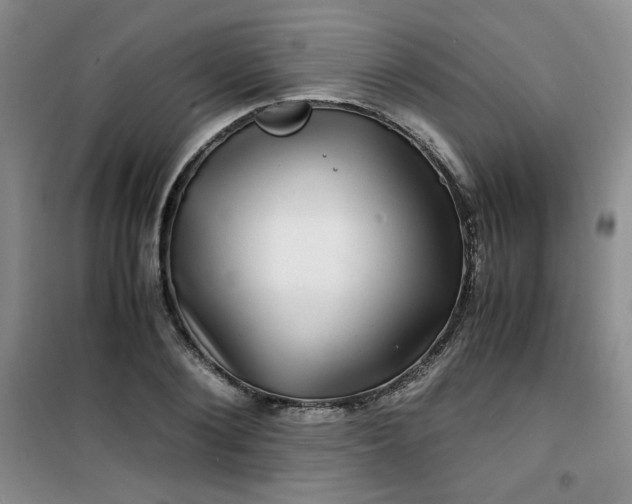 X0000100950884200807081216