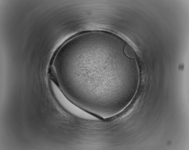 X0000100950885200807081216