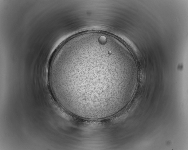 X0000100950886200807081216