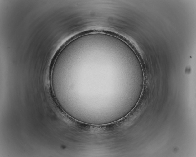 X0000100950887200807081216