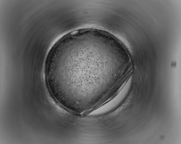 X0000100950888200807081216