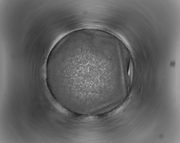 X0000100950891200807081216