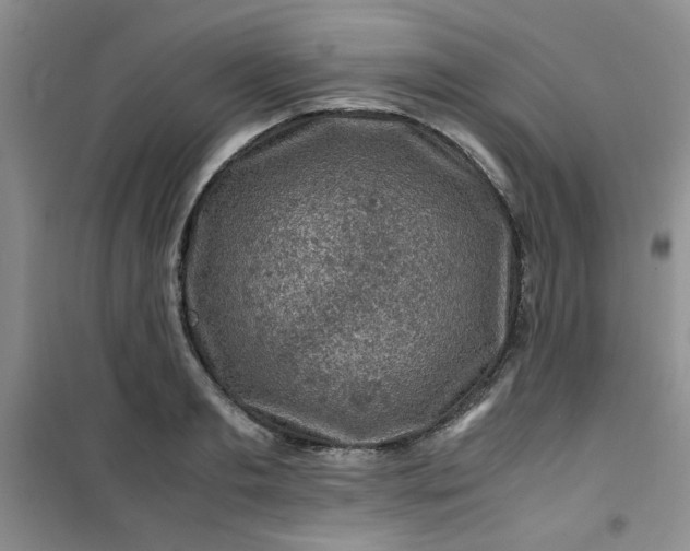 X0000100950893200807081216