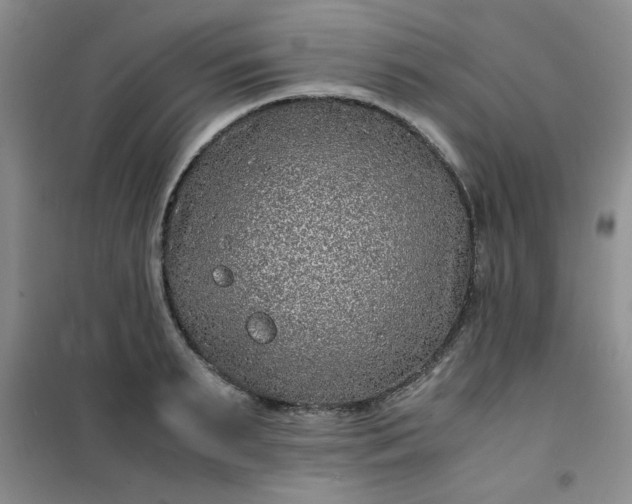 X0000100950895200807081215