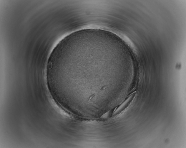 X0000100950896200807081215