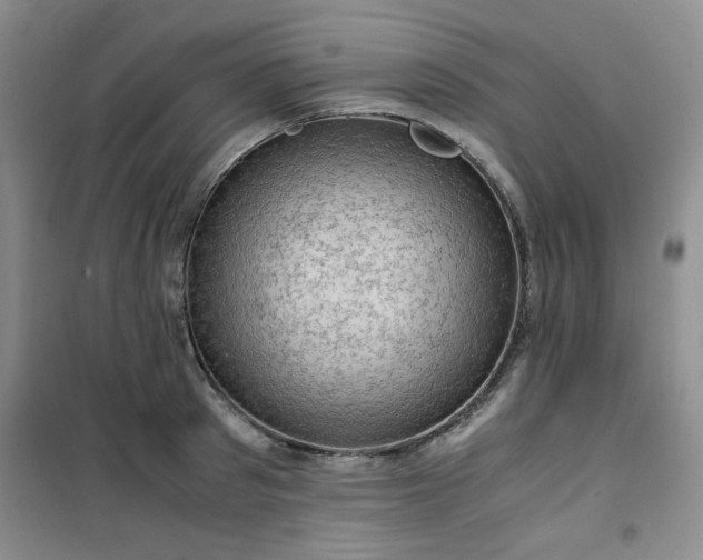 X0000100950897200807081215