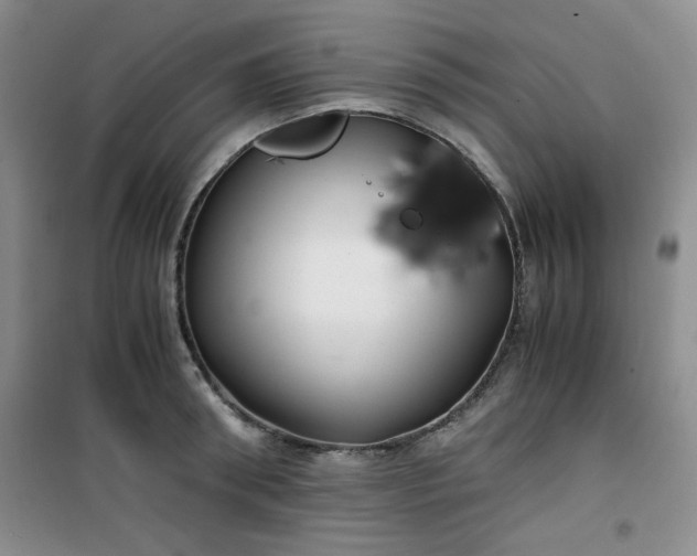 X0000100950898200807081215