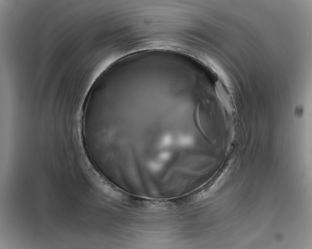 X0000100950899200807081215