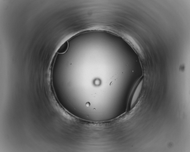 X0000100950900200807081215