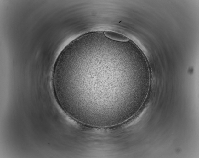 X0000100950901200807081215