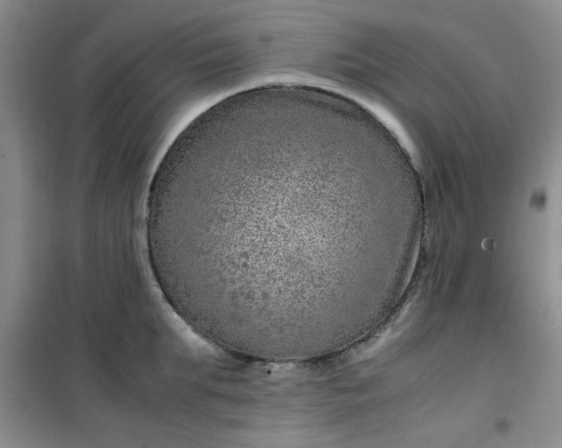 X0000100950903200807081215