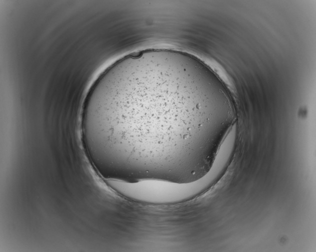 X0000100950904200807081215