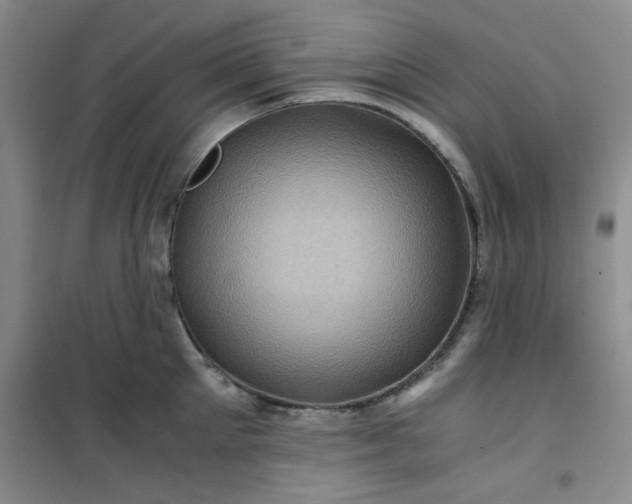 X0000100950905200807081215