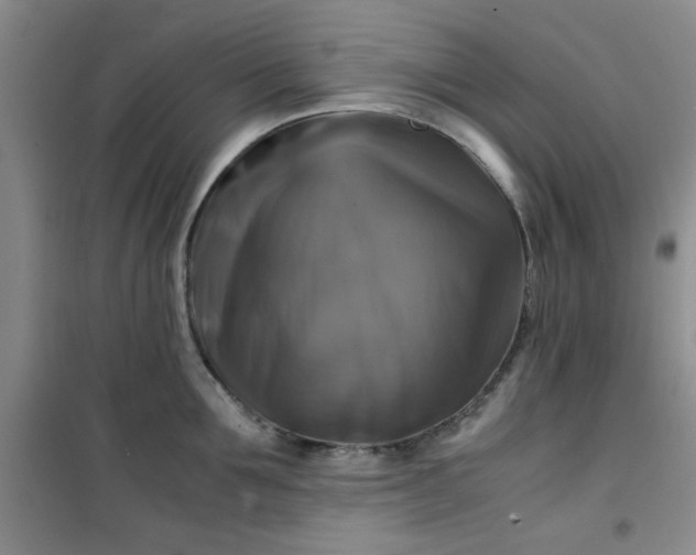 X0000100950907200807081215