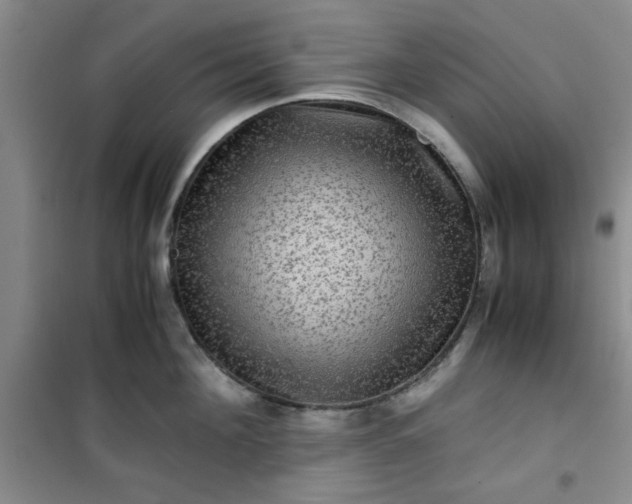 X0000100950908200807081215