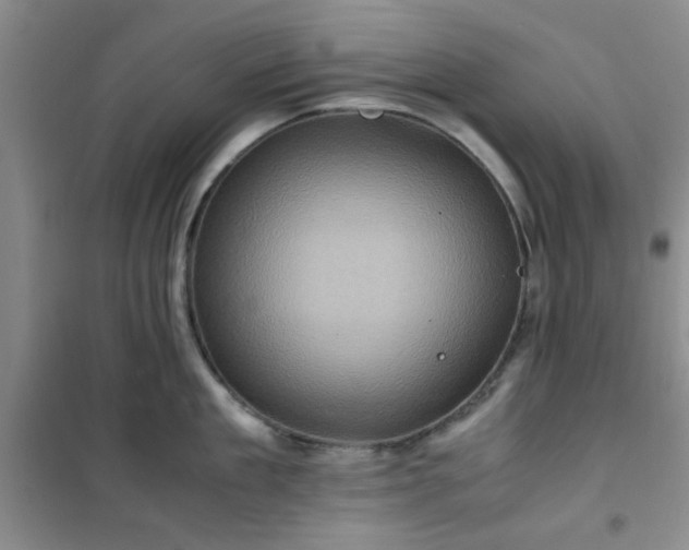 X0000100950909200807081215