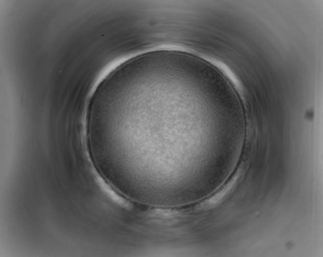 X0000100950910200807081215