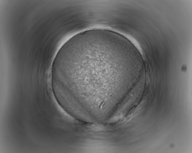 X0000100950911200807081215