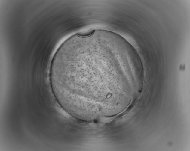 X0000100950912200807081215