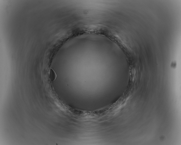 X0000100950913200807081215