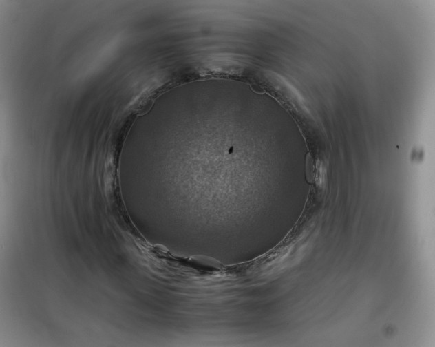 X0000100950915200807081215