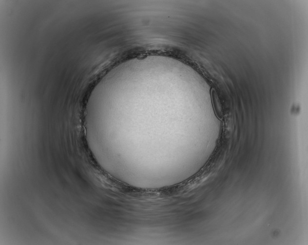 X0000100950916200807081215