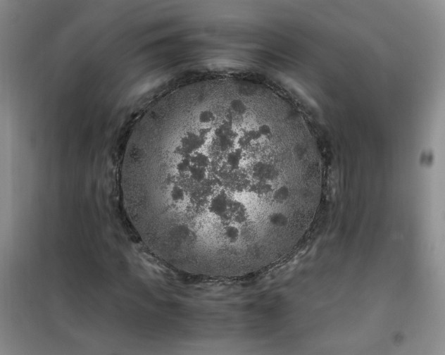 X0000100950917200807081215