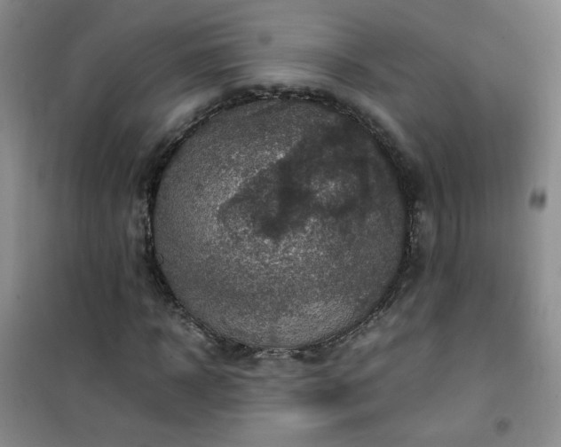 X0000100950918200807081215