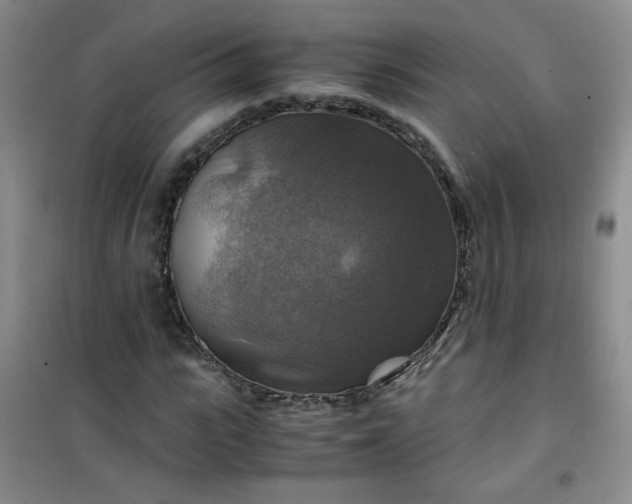 X0000100950919200807081215