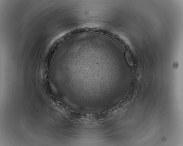 X0000100950920200807081215