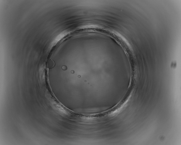 X0000100950921200807081215