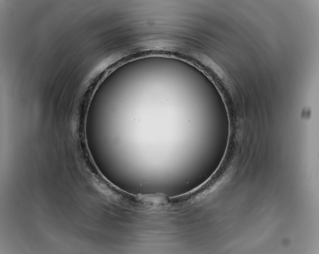 X0000100950922200807081215