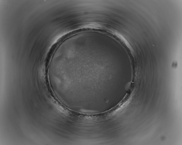 X0000100950923200807081215