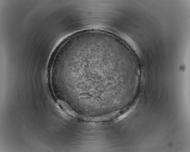 X0000100950924200807081215