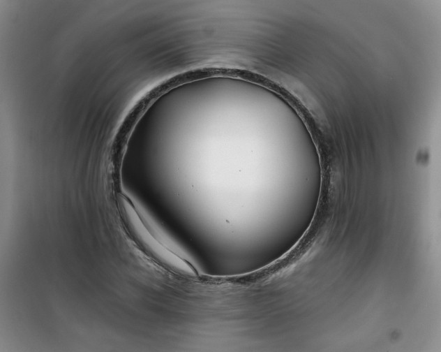 X0000100950926200807081215